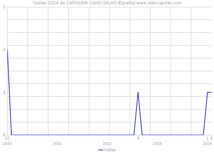 Visitas 2024 de CAROLINA CANO SALAS (España) 