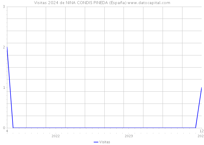 Visitas 2024 de NINA CONDIS PINEDA (España) 