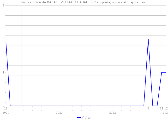 Visitas 2024 de RAFAEL MELLADO CABALLERO (España) 