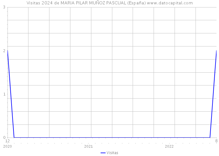 Visitas 2024 de MARIA PILAR MUÑOZ PASCUAL (España) 
