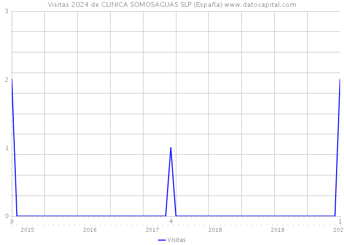 Visitas 2024 de CLINICA SOMOSAGUAS SLP (España) 