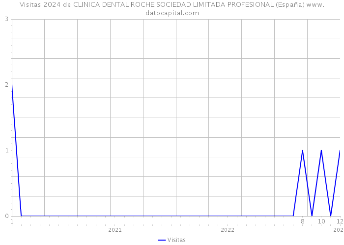 Visitas 2024 de CLINICA DENTAL ROCHE SOCIEDAD LIMITADA PROFESIONAL (España) 