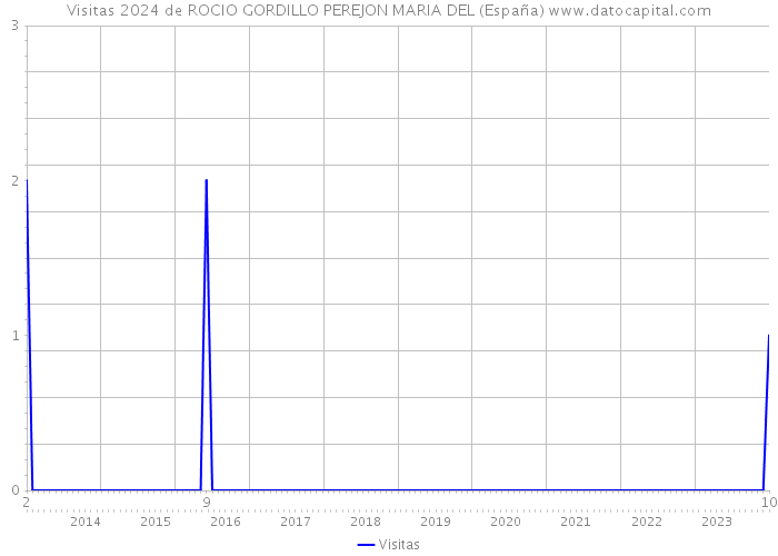 Visitas 2024 de ROCIO GORDILLO PEREJON MARIA DEL (España) 