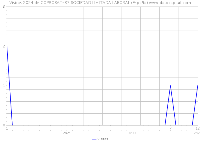 Visitas 2024 de COPROSAT-37 SOCIEDAD LIMITADA LABORAL (España) 