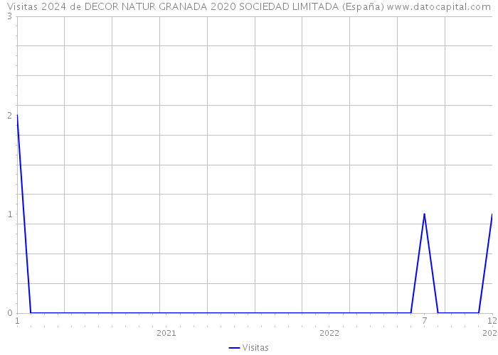 Visitas 2024 de DECOR NATUR GRANADA 2020 SOCIEDAD LIMITADA (España) 