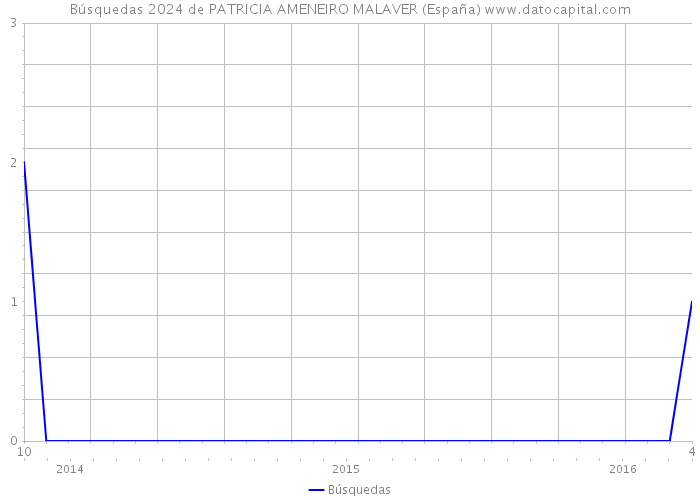 Búsquedas 2024 de PATRICIA AMENEIRO MALAVER (España) 