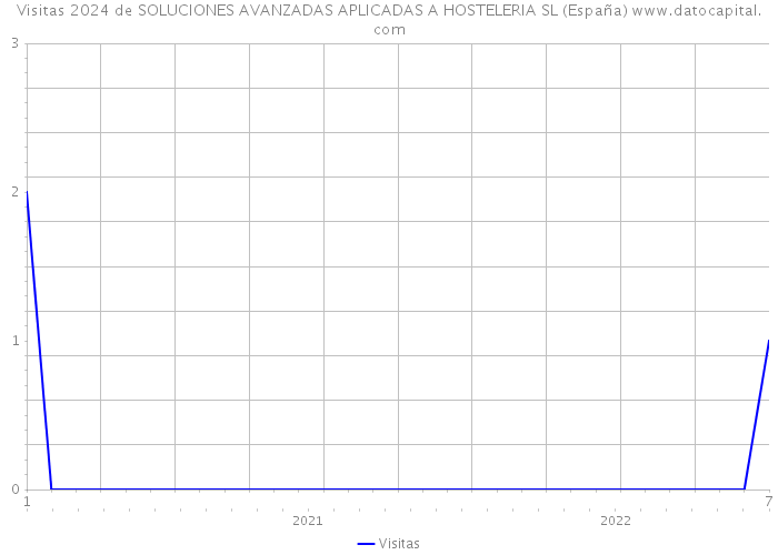 Visitas 2024 de SOLUCIONES AVANZADAS APLICADAS A HOSTELERIA SL (España) 
