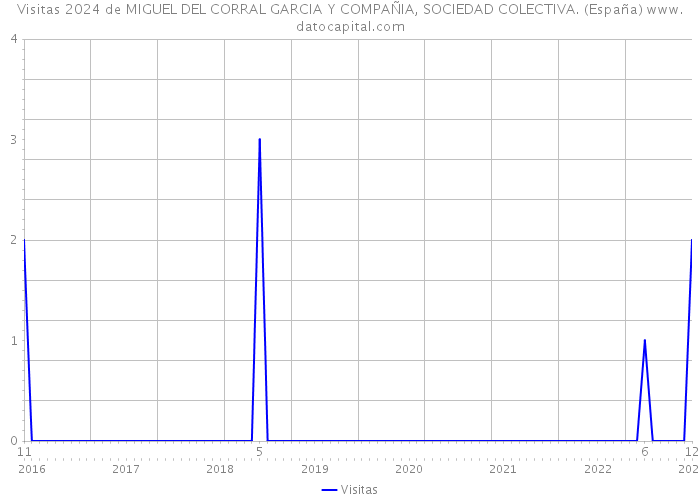 Visitas 2024 de MIGUEL DEL CORRAL GARCIA Y COMPAÑIA, SOCIEDAD COLECTIVA. (España) 