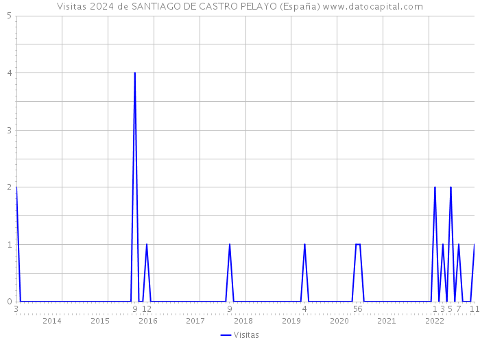 Visitas 2024 de SANTIAGO DE CASTRO PELAYO (España) 