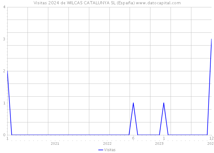 Visitas 2024 de WILCAS CATALUNYA SL (España) 