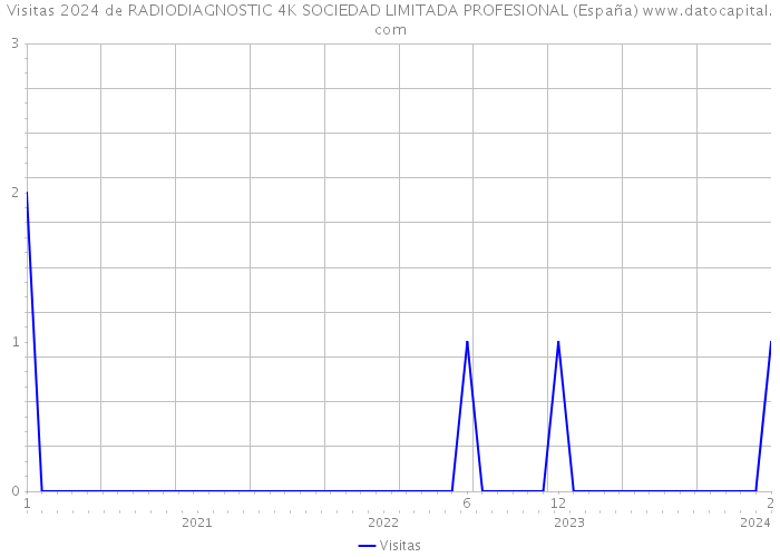 Visitas 2024 de RADIODIAGNOSTIC 4K SOCIEDAD LIMITADA PROFESIONAL (España) 