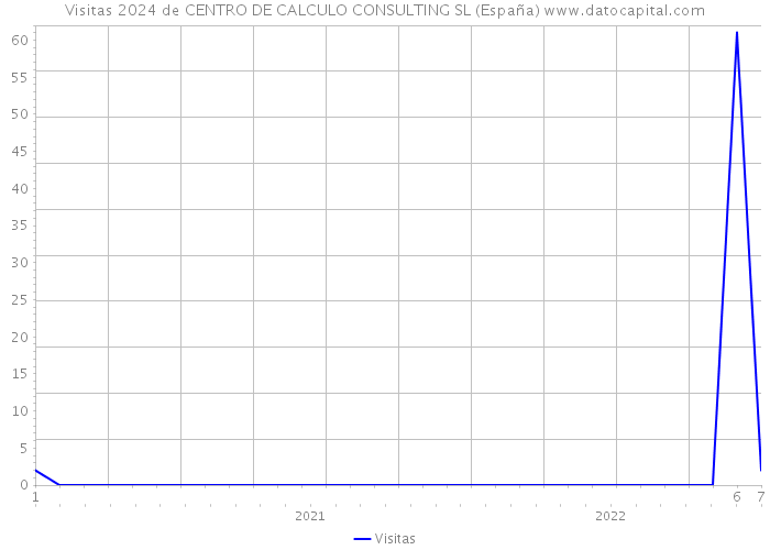 Visitas 2024 de CENTRO DE CALCULO CONSULTING SL (España) 