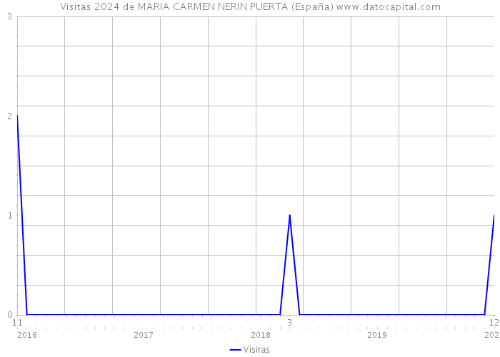 Visitas 2024 de MARIA CARMEN NERIN PUERTA (España) 