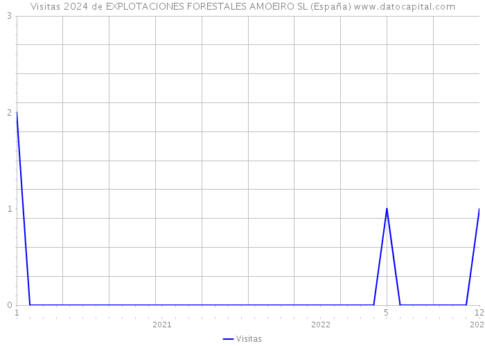 Visitas 2024 de EXPLOTACIONES FORESTALES AMOEIRO SL (España) 