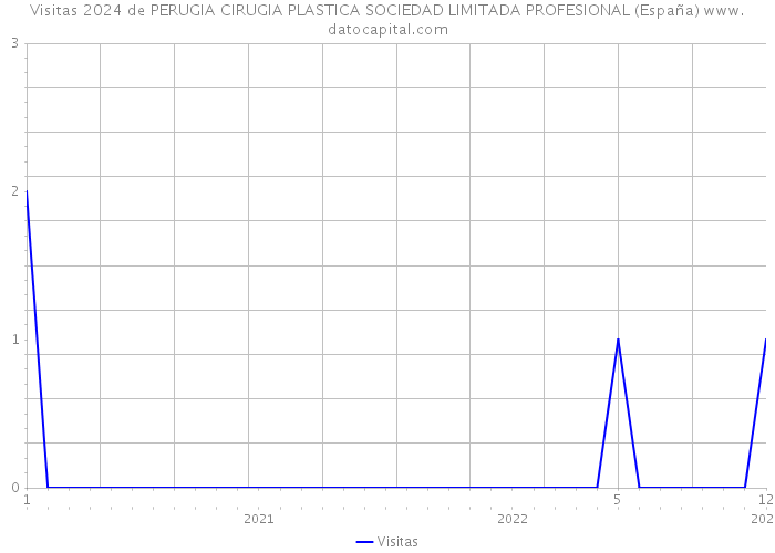 Visitas 2024 de PERUGIA CIRUGIA PLASTICA SOCIEDAD LIMITADA PROFESIONAL (España) 
