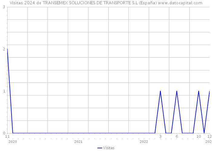 Visitas 2024 de TRANSEMEX SOLUCIONES DE TRANSPORTE S.L (España) 