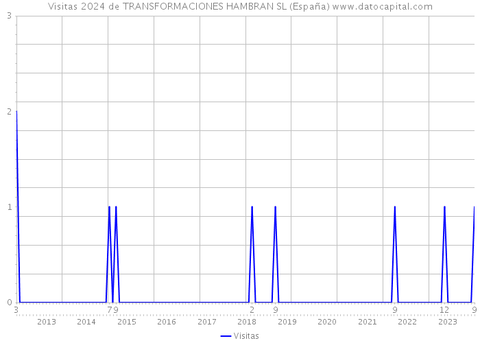 Visitas 2024 de TRANSFORMACIONES HAMBRAN SL (España) 