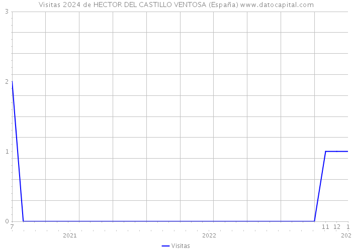 Visitas 2024 de HECTOR DEL CASTILLO VENTOSA (España) 