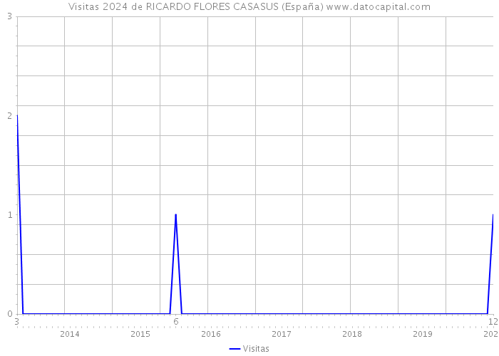 Visitas 2024 de RICARDO FLORES CASASUS (España) 