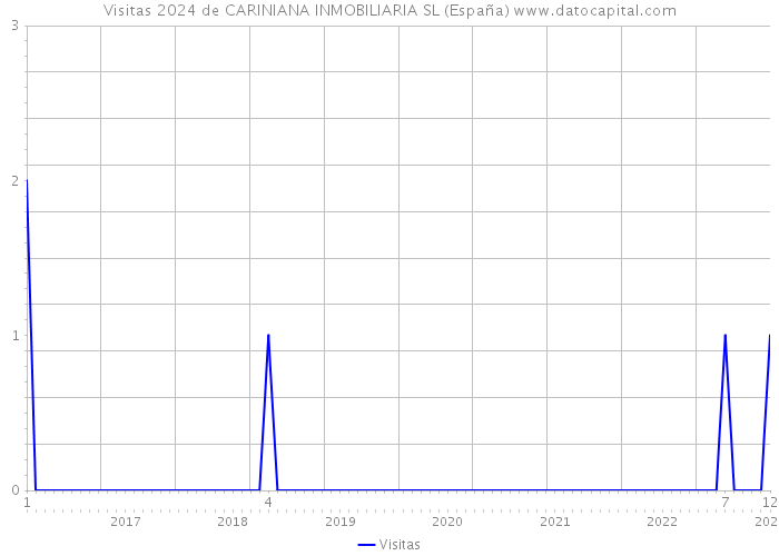 Visitas 2024 de CARINIANA INMOBILIARIA SL (España) 