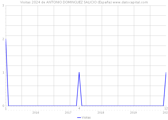 Visitas 2024 de ANTONIO DOMINGUEZ SALICIO (España) 