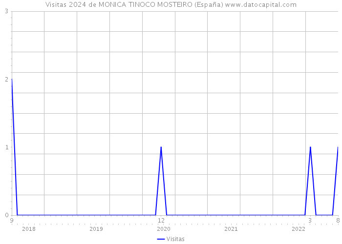 Visitas 2024 de MONICA TINOCO MOSTEIRO (España) 
