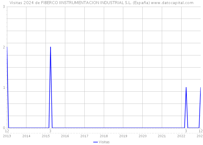 Visitas 2024 de FIBERCO IINSTRUMENTACION INDUSTRIAL S.L. (España) 