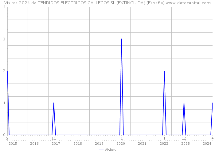 Visitas 2024 de TENDIDOS ELECTRICOS GALLEGOS SL (EXTINGUIDA) (España) 