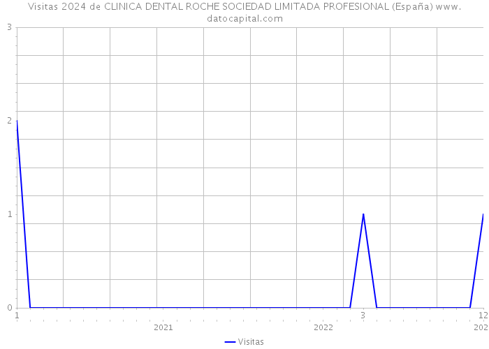 Visitas 2024 de CLINICA DENTAL ROCHE SOCIEDAD LIMITADA PROFESIONAL (España) 