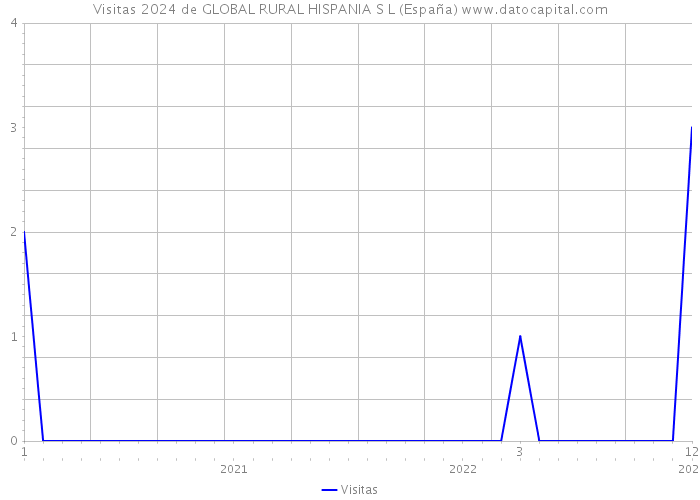 Visitas 2024 de GLOBAL RURAL HISPANIA S L (España) 