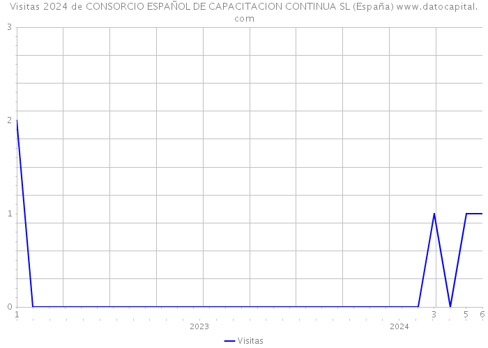 Visitas 2024 de CONSORCIO ESPAÑOL DE CAPACITACION CONTINUA SL (España) 