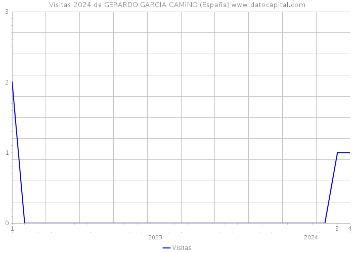 Visitas 2024 de GERARDO GARCIA CAMINO (España) 