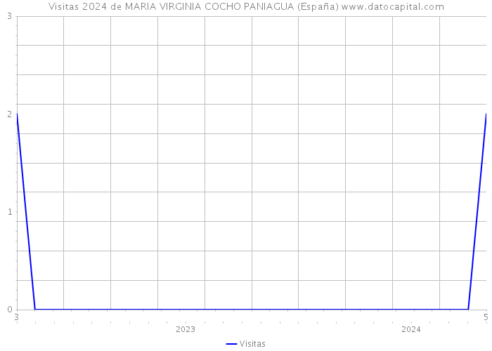 Visitas 2024 de MARIA VIRGINIA COCHO PANIAGUA (España) 