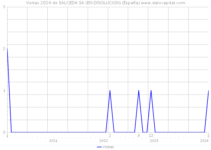Visitas 2024 de SALCEDA SA (EN DISOLUCION) (España) 