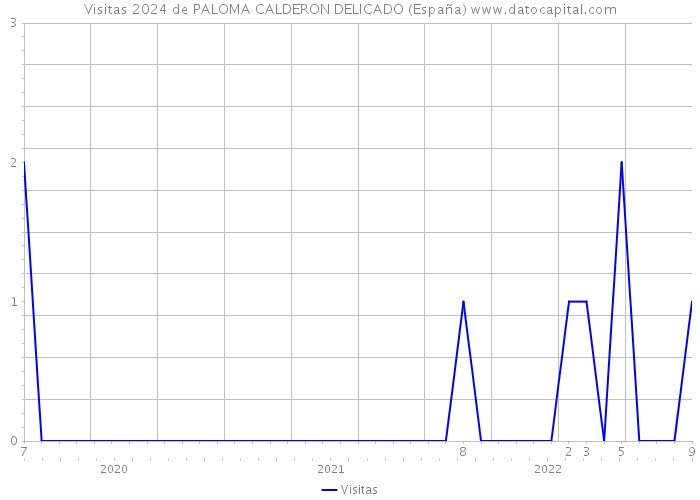 Visitas 2024 de PALOMA CALDERON DELICADO (España) 