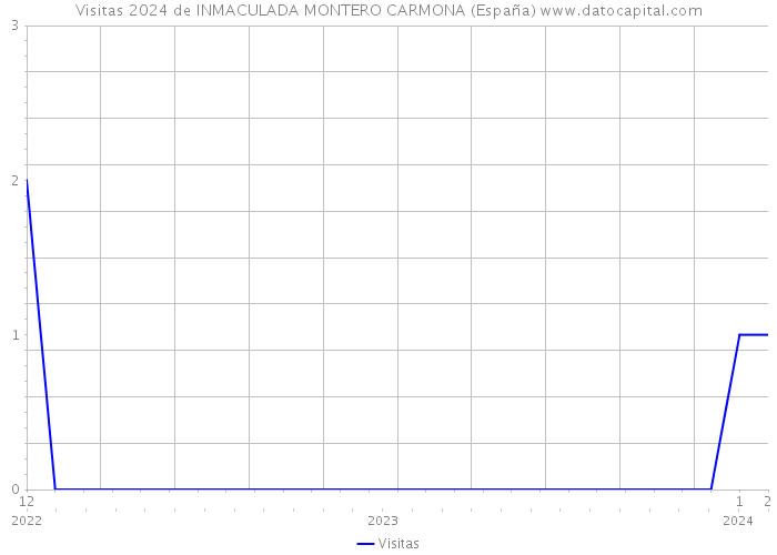 Visitas 2024 de INMACULADA MONTERO CARMONA (España) 