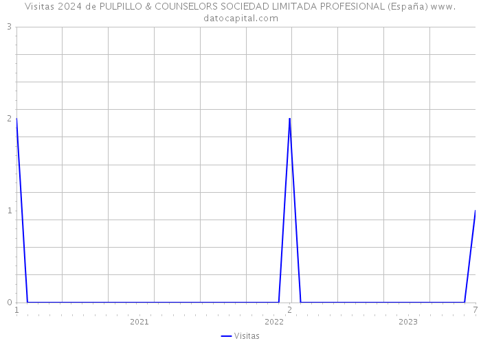 Visitas 2024 de PULPILLO & COUNSELORS SOCIEDAD LIMITADA PROFESIONAL (España) 