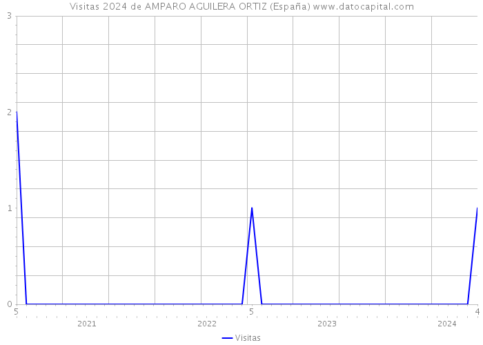 Visitas 2024 de AMPARO AGUILERA ORTIZ (España) 