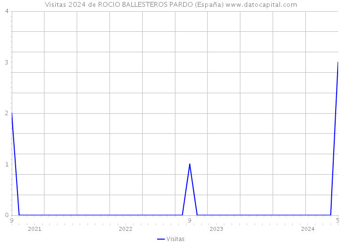 Visitas 2024 de ROCIO BALLESTEROS PARDO (España) 