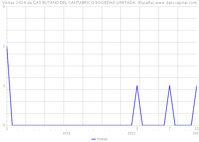Visitas 2024 de GAS BUTANO DEL CANTABRICO SOCIEDAD LIMITADA. (España) 