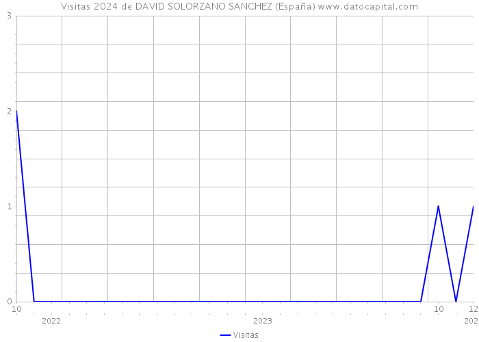 Visitas 2024 de DAVID SOLORZANO SANCHEZ (España) 