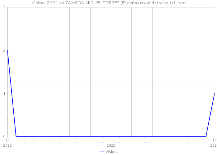 Visitas 2024 de ZAMORA MIGUEL TORRES (España) 