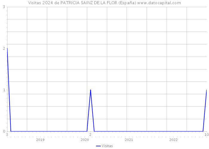 Visitas 2024 de PATRICIA SAINZ DE LA FLOR (España) 
