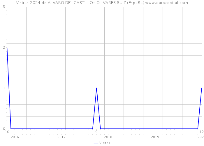 Visitas 2024 de ALVARO DEL CASTILLO- OLIVARES RUIZ (España) 