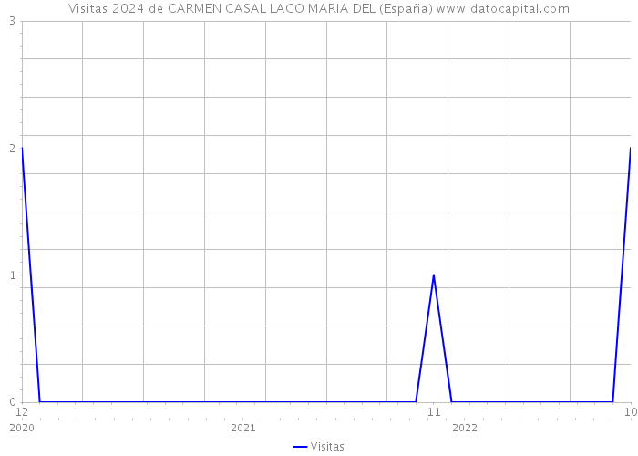 Visitas 2024 de CARMEN CASAL LAGO MARIA DEL (España) 