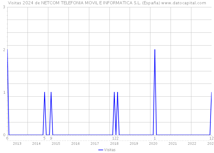 Visitas 2024 de NETCOM TELEFONIA MOVIL E INFORMATICA S.L. (España) 