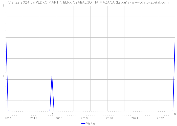 Visitas 2024 de PEDRO MARTIN BERRIOZABALGOITIA MAZAGA (España) 