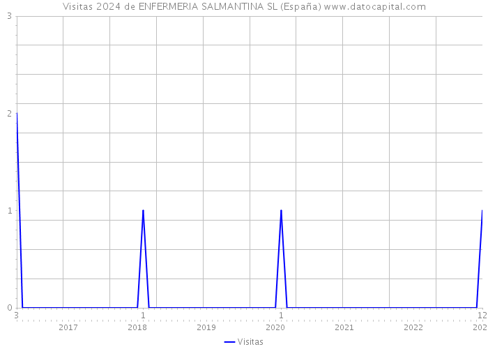 Visitas 2024 de ENFERMERIA SALMANTINA SL (España) 