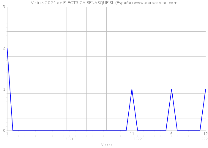Visitas 2024 de ELECTRICA BENASQUE SL (España) 