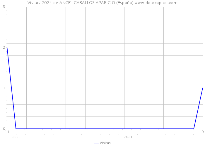 Visitas 2024 de ANGEL CABALLOS APARICIO (España) 